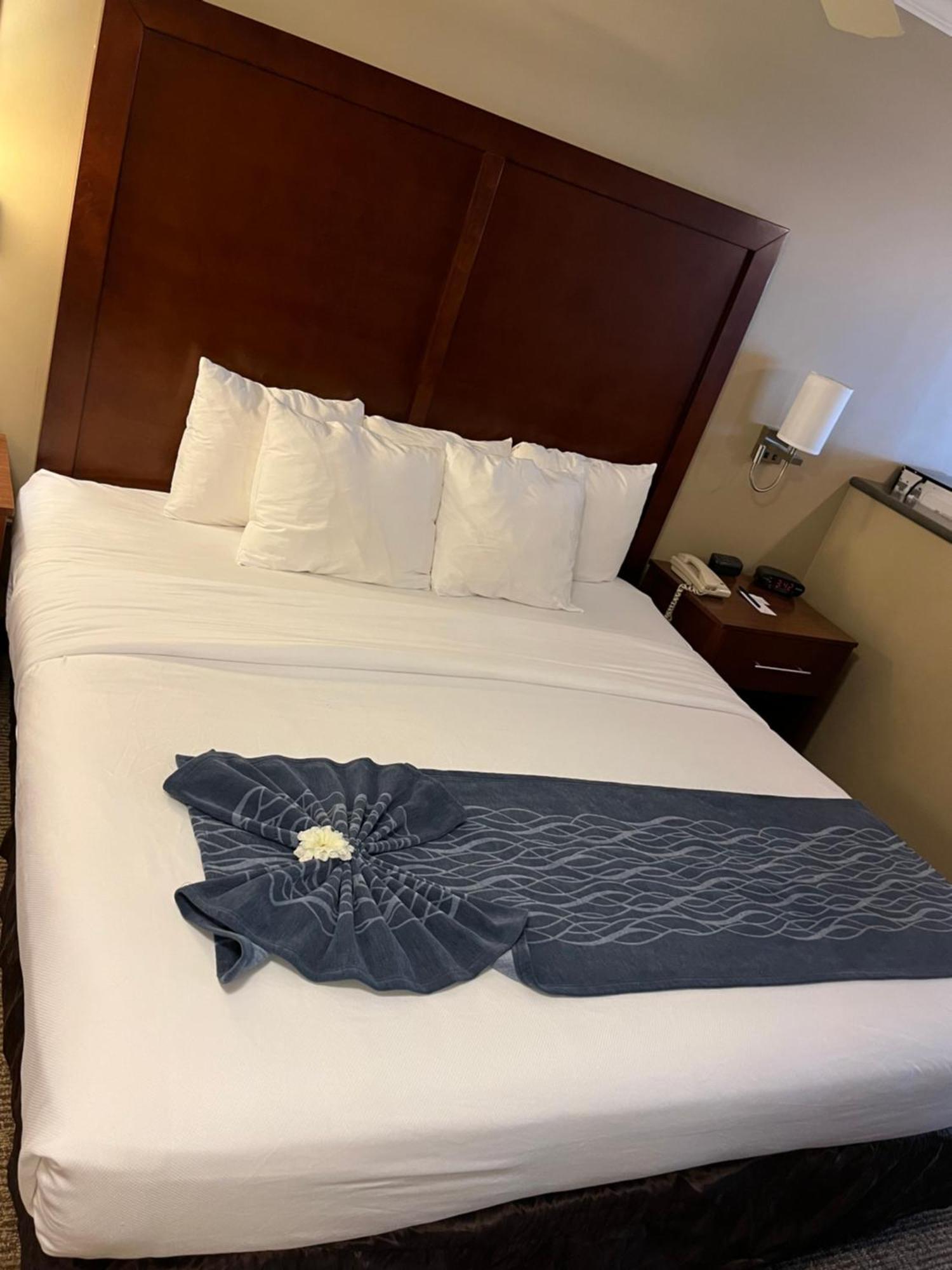 Comfort Inn & Suites Ocean Shores Esterno foto